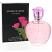 Story Of Rose (Ladies 100ml EDP) Fine Perfumery
