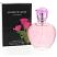 Story Of Rose (Ladies 100ml EDP) Fine Perfumery