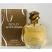 Gold Hypnosis (Ladies 100ml EDP) Fine Perfumery