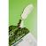 Face Facts Refreshing Seaweed Mud Mask - 60ml