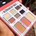 The Balm Alternative Rock Volume 2 Face Palette