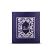Azraq Perfume Oil (15ml) Hamidi