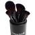 Beauty UK 6pcs Cosmetics Brush Set & Holder (Black Case)