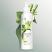 Dove Powered By Plants Soothing Bamboo Body Lotion - 250ml