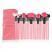 Makeup Brush Set - Pink 24pcs