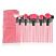 Makeup Brush Set - Pink 24pcs