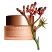 Clarins Extra-Firming Firming Day Cream for All Skin Types - 50ml