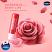 Vaseline Rosy Lips Lip Care Stick - 4.8g