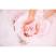 Body Collection Cherry Blossom Bath Fizzers Set (993608)