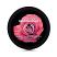 The Body Shop British Rose Instant Glow Body Butter - 50ml