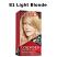 81 Light Blonde (3818)