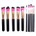 Lilyz 10pcs Black with Pink Brushes Set