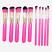 Lilyz 10pcs Pink with Pink Brushes Set