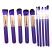 Lilyz 10pcs Purple with Purple Brushes Set
