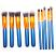 Lilyz 10pcs Blue with Black Brushes Set