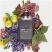 Jimmy Choo Man (Mens 100ml EDT) Jimmy Choo