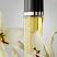 Oscar (Ladies 100ml EDT) Oscar de la Renta