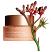 Clarins Extra-Firming Firming Day Rich Cream for Dry Skin - 50ml