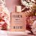 Floral Allure (Unisex 100ml EDP) Face Facts (3051) (73051-150)