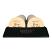 Technic Rice Setting Powder (12pcs) (29744)