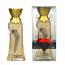 French Cancan (Ladies 100ml EDP) New Brand (0873) NB/20