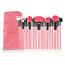 Lilyz  Pink Brush Set (24 Brushes) (3039) (8123) LILYZ/69