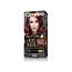 Delia Cameleo Permanent Hair Color Cream Kit with Omega+ - 6.45 Light Mahogany (0486) D/11b