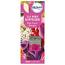 Airpure Fresh Flower Bouquet 2in1 Reed Diffuser - 30ml (6614) B/7
