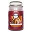 Airpure Cinnamon Spice Scented Large Jar Candle - 510g (6126) 