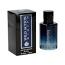 Wild Action Elixir (Mens 100ml EDT) Real Time (FRRT164) (0637) B/