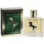 Racing Horse Gold (Mens 100ml EDT) Real Time (FRRT151) (0255) C/14