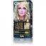 Delia Cameleo Permanent Hair Color Cream Kit with Omega+ - 9.13 Champagne Blond (6588) E/06