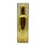 Colour Me Homme Gold (Mens 100ml EDP) Milton Lloyd