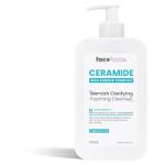 Face Facts Ceramide Blemish Clarifying Foaming Cleanser - 400ml (5622) (35622-150) FF.D/4