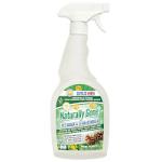Airpure Naturally Gone Pine Forest Pet Odour & Stain Remover Spray - 750ml (8977)