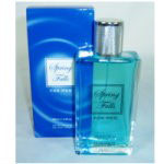 Spring Falls (Mens 100ml EDT) D&M (0176) - B/45