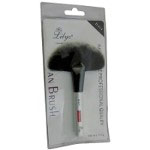 Lilyz Fan Brush (12pcs) B-614 (£1.85/each) LILYZ/65